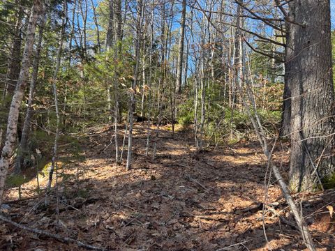 Photo of Lot 3 Heath Road, Whitefield, ME 04353 (MLS # 1657749)