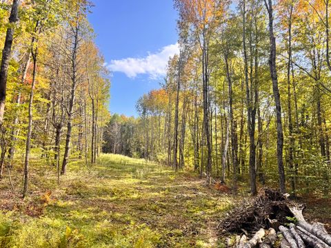 Photo of 192 Mountain Road, Raymond, ME 04071 (MLS # 1649357)