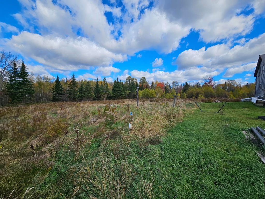 Photo of 137 Sacarap Road, Columbia, ME 04623 (MLS # 1642480)