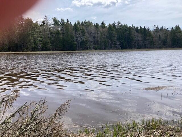 Photo of Lot 1 Point Street, Addison, ME 04606 (MLS # 1661235)