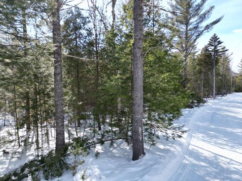 Photo of 14 Twin Springs Lane, Lincoln, ME 04457 (MLS # 1655249)