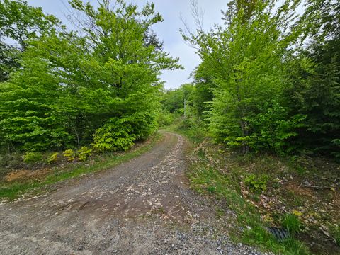 Photo of Lot # 6S Turcotte Drive, Naples, ME 04055 (MLS # 1620055)