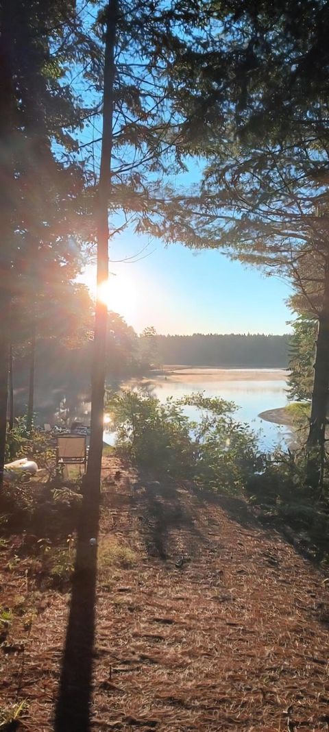 Photo of 217 Frost Mill Road, Mariaville, ME 04605 (MLS # 1658316)