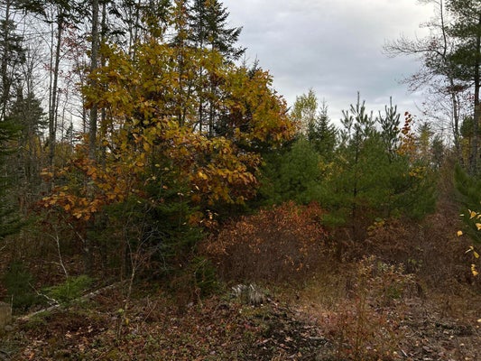 401 GENTHNER RD, WALDOBORO, ME 04572 - Image 6cd4d213460e2f80dfdca9daa0858875/3259680409