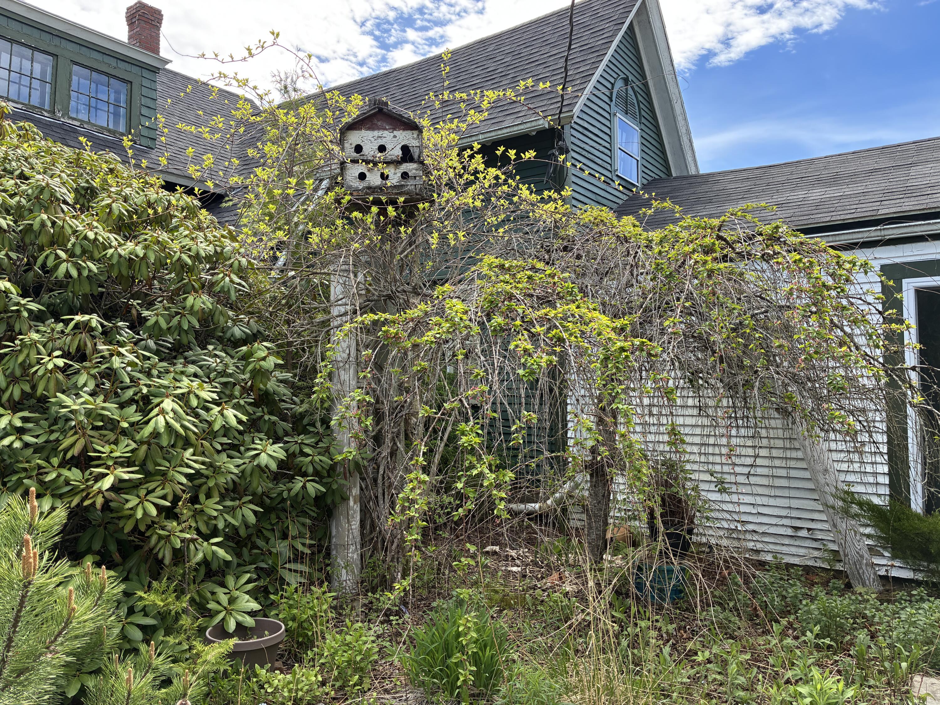 Front garden.