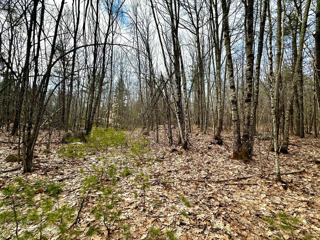 Photo of 332 Folly Road, Sebago, ME 04029 (MLS # 1656029)