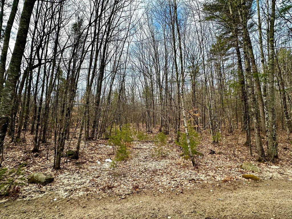 Photo of 332 Folly Road, Sebago, ME 04029 (MLS # 1656029)