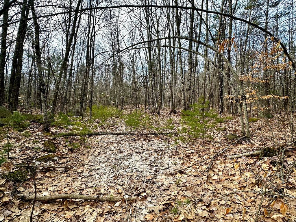 Photo of 332 Folly Road, Sebago, ME 04029 (MLS # 1656029)