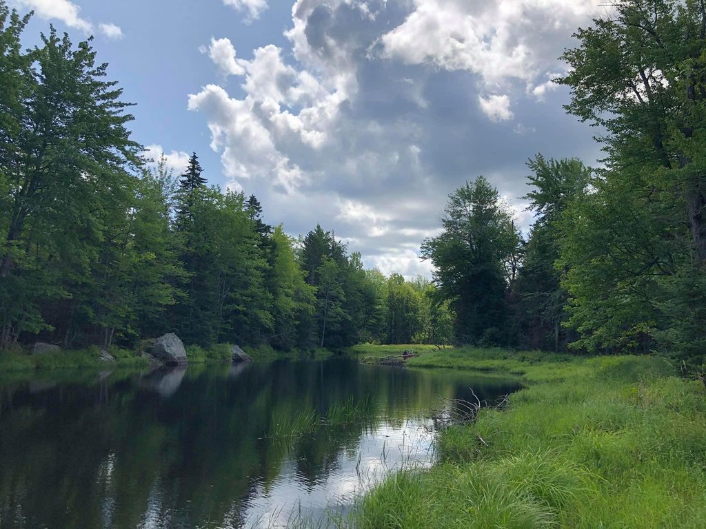Photo of 196 Woodmans Mill Road, Searsmont, ME 04973 (MLS # 1658497)