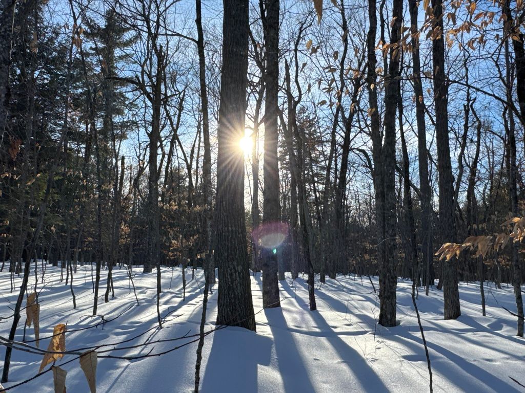 Photo of M10L44 Mountain View Road, Fryeburg, ME 04037 (MLS # 1652032)