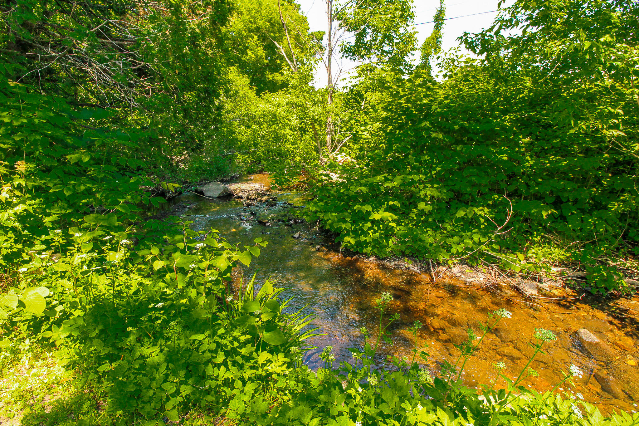 52 + 54 Summer Street