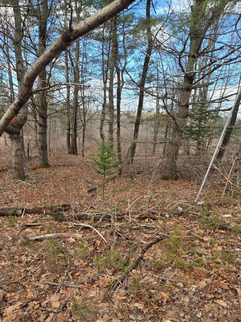 Photo of Lot 1 Maple Street, Farmingdale, ME 04344 (MLS # 1656609)