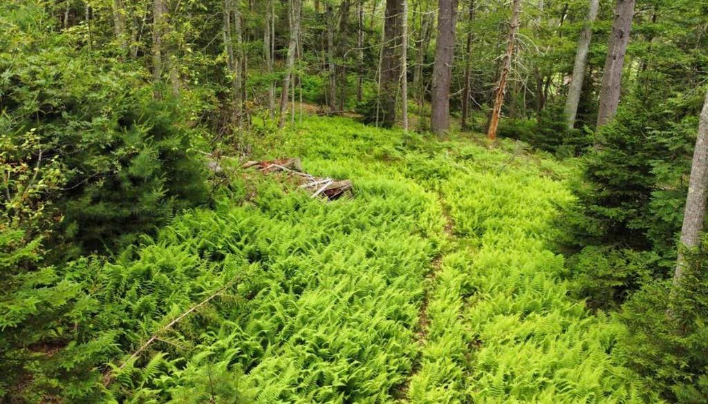 Photo of 7 Wrong Way Drive, Phippsburg, ME 04562 (MLS # 1659482)