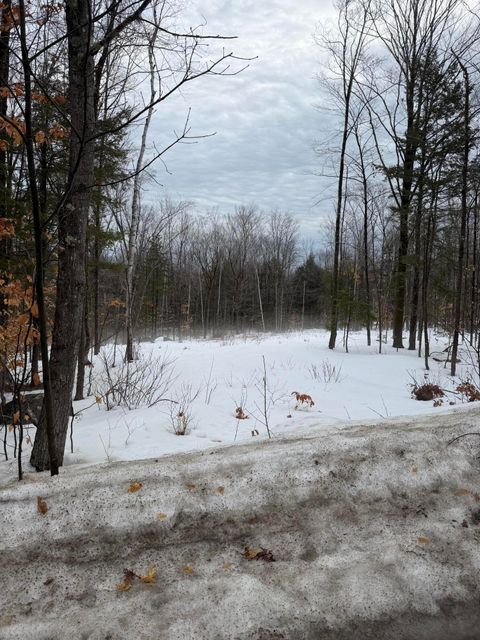 Photo of Lot 3 Hancock Pond Rd, Sebago, ME 04029 (MLS # 1653865)