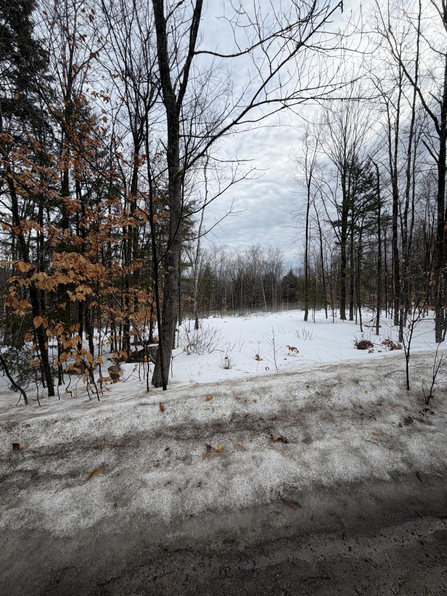 Lot 3 Hancock Pond Rd