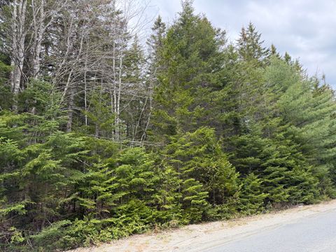 Photo of 2-C Gouldsboro Point Road, Gouldsboro, ME 04607 (MLS # 1662341)