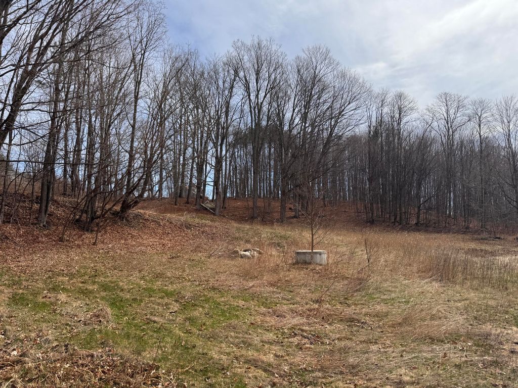 Photo of 5 Haines Corner Road, Livermore Falls, ME 04254 (MLS # 1658053)