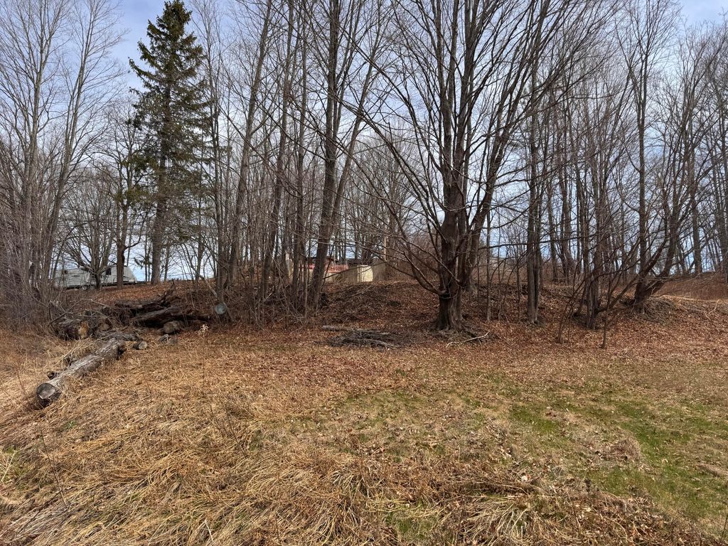 Photo of 5 Haines Corner Road, Livermore Falls, ME 04254 (MLS # 1658053)