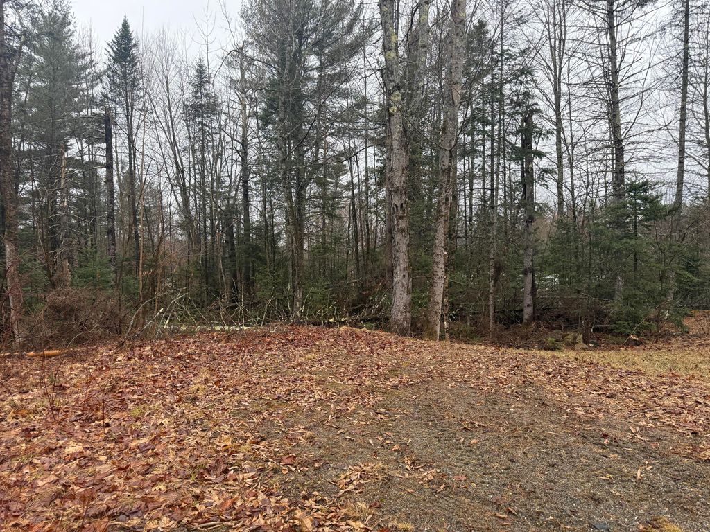 Photo of 1373 Bailey Road, Jackson, ME 04921 (MLS # 1655878)