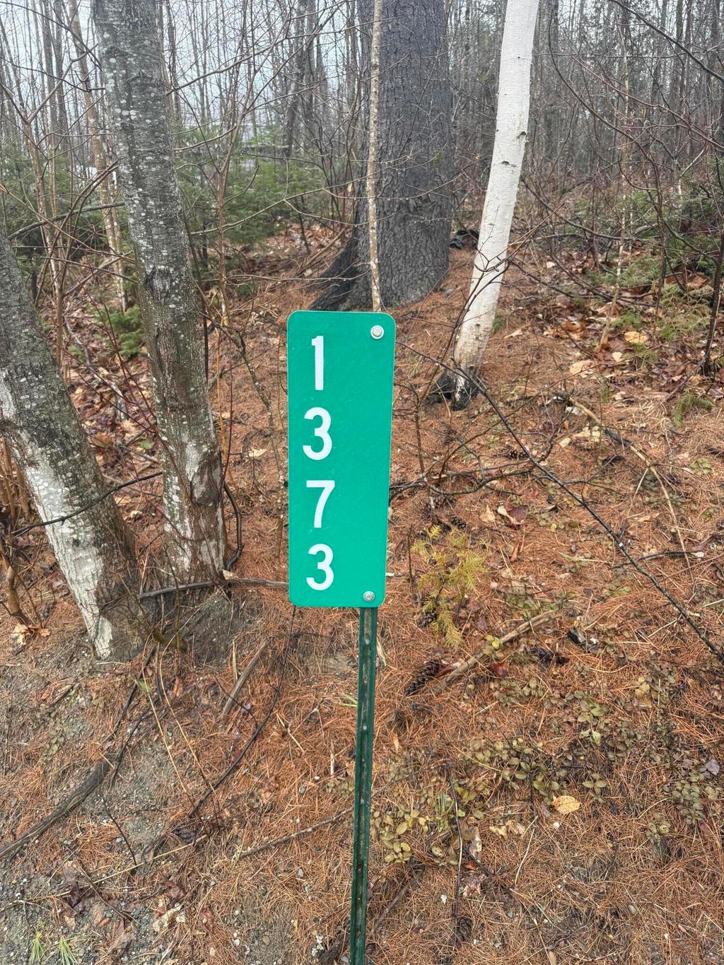 Photo of 1373 Bailey Road, Jackson, ME 04921 (MLS # 1655878)