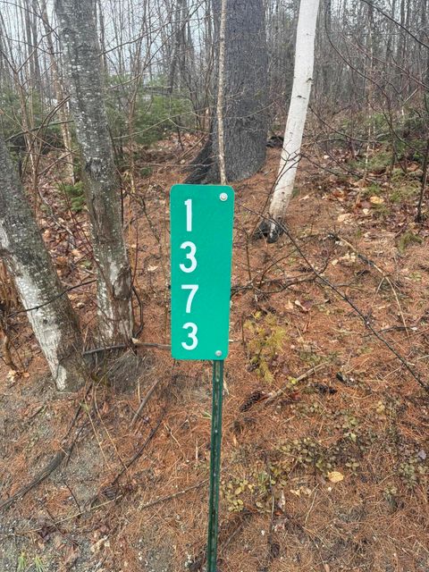 Photo of 1373 Bailey Road, Jackson, ME 04921 (MLS # 1655878)