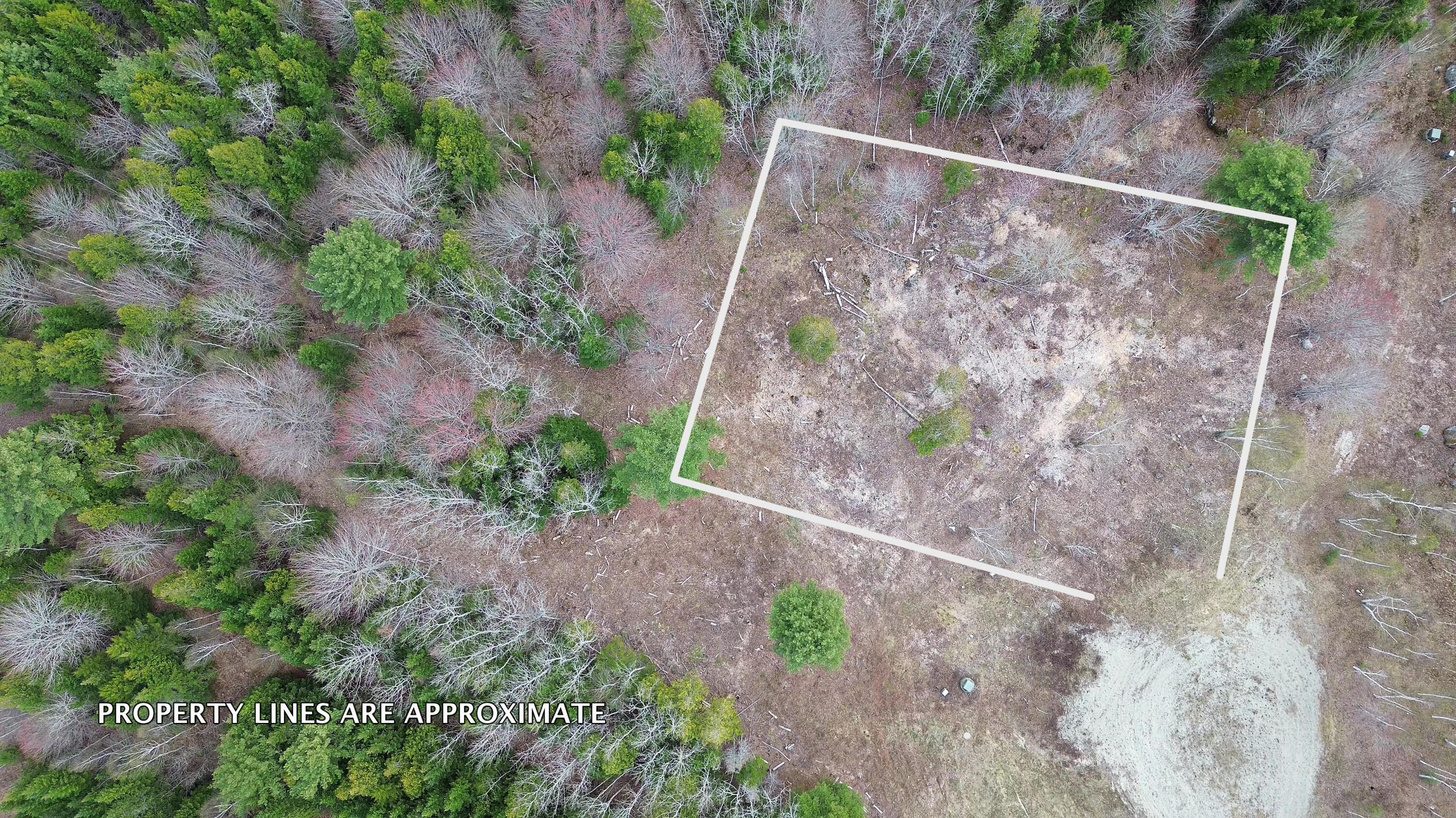 Lot 17 Bailey Mountain Road
