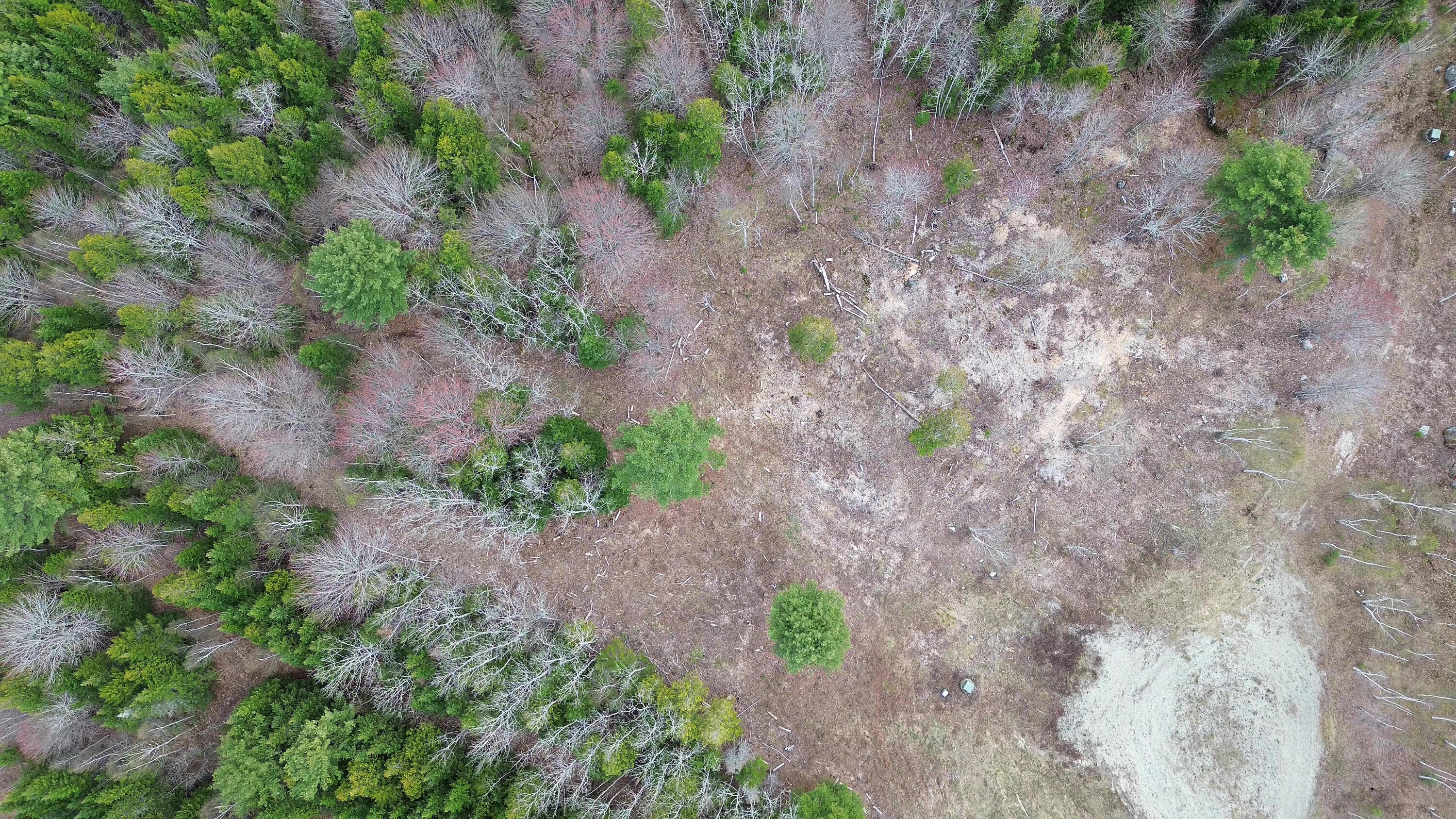 Lot 17 Bailey Mountain Road
