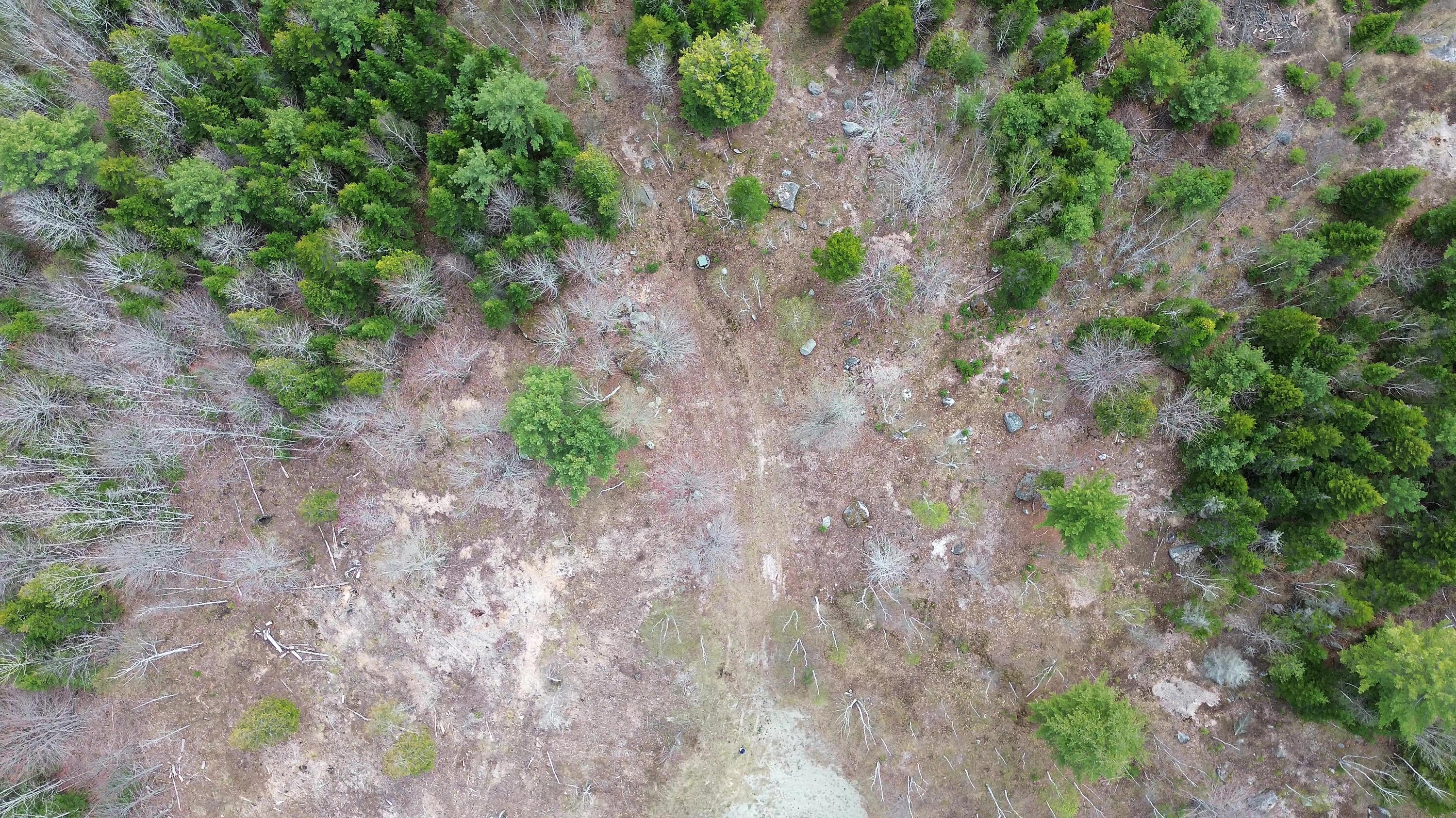Lot 17 Bailey Mountain Road