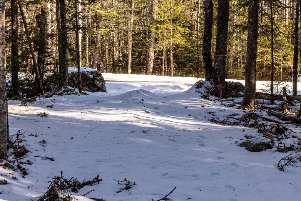 Photo of 10-4M Forest Hill Ln, Surry, ME 04684 (MLS # 1649318)
