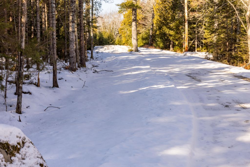 Photo of 10-4M Forest Hill Ln, Surry, ME 04684 (MLS # 1649318)