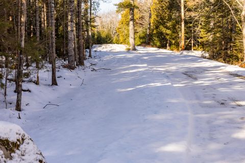 Photo of 10-4M Forest Hill Ln, Surry, ME 04684 (MLS # 1649318)