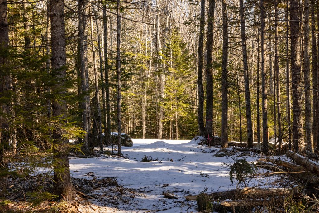 Photo of 10-4M Forest Hill Ln, Surry, ME 04684 (MLS # 1649318)