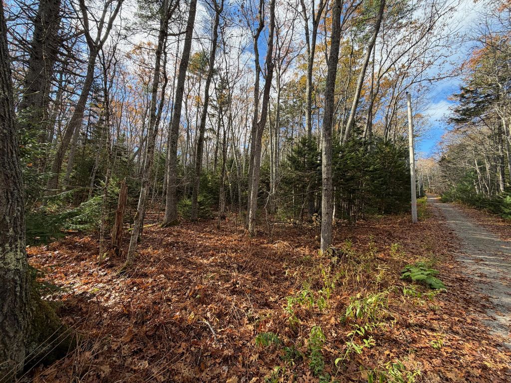 Photo of 0 Lockhart Cove Road Road, Bristol, ME 04558 (MLS # 1642539)