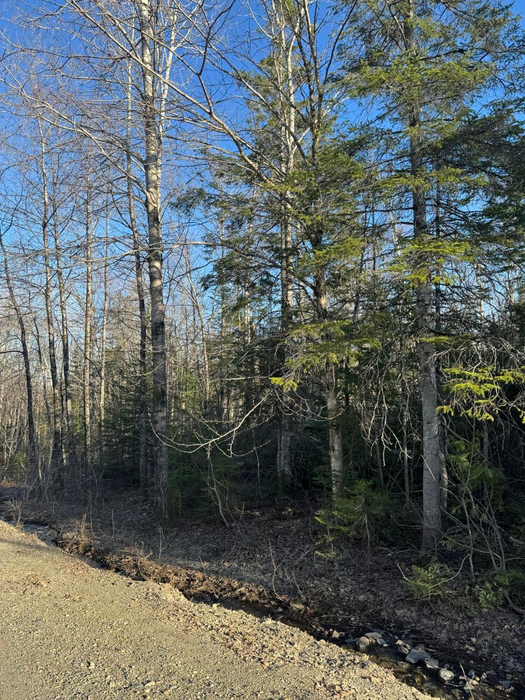 Photo of 0 Young Lake Road, Westfield, ME 04787 (MLS # 1651788)