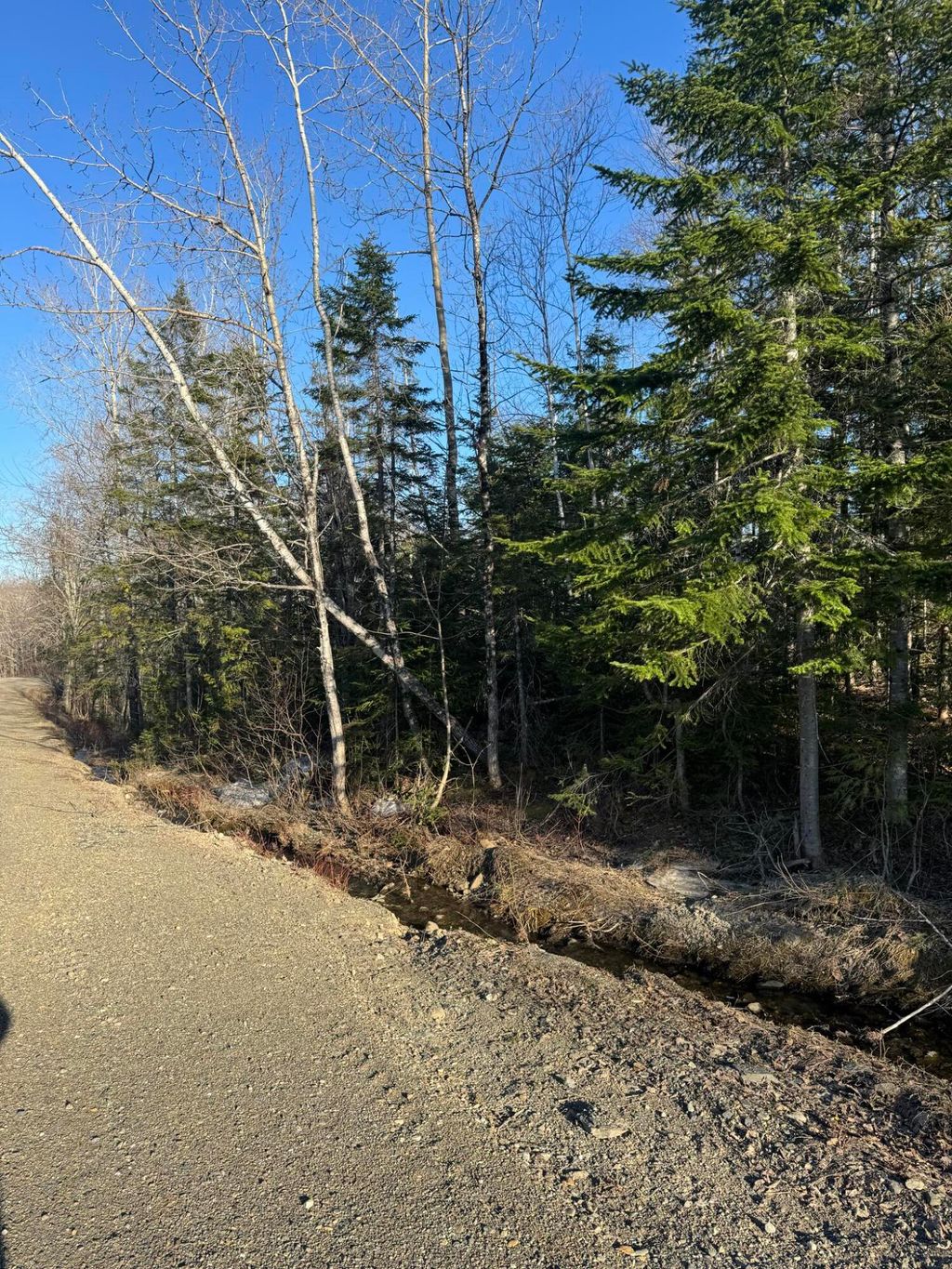 Photo of 0 Young Lake Road, Westfield, ME 04787 (MLS # 1651788)