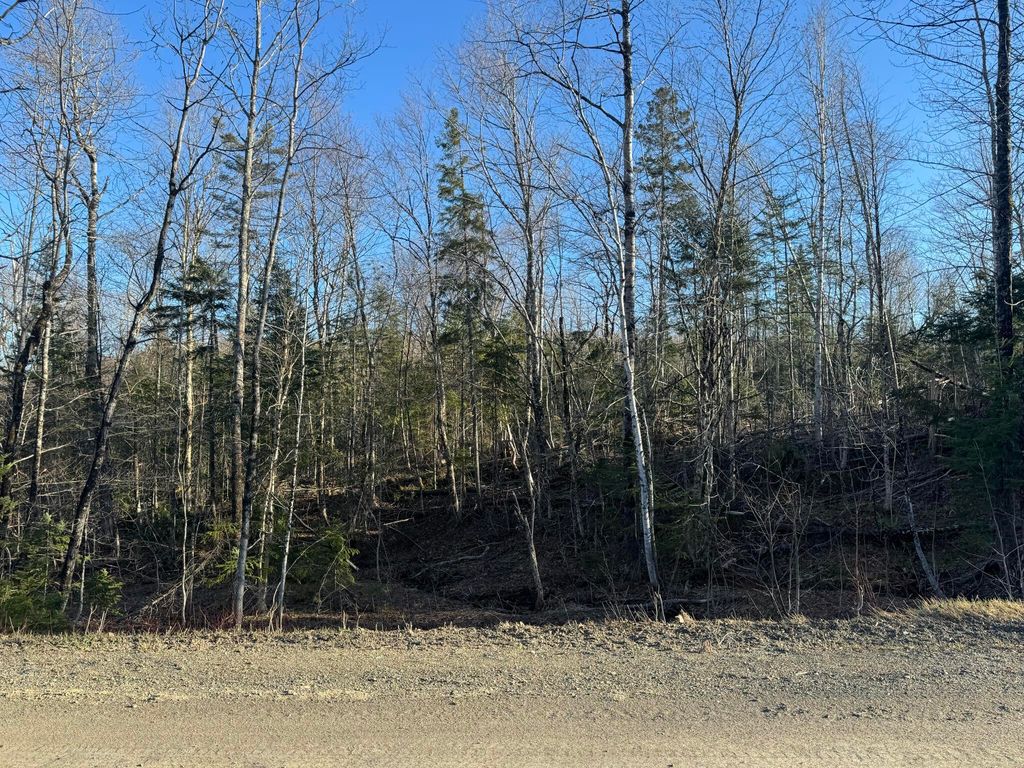 Photo of 0 Young Lake Road, Westfield, ME 04787 (MLS # 1651788)