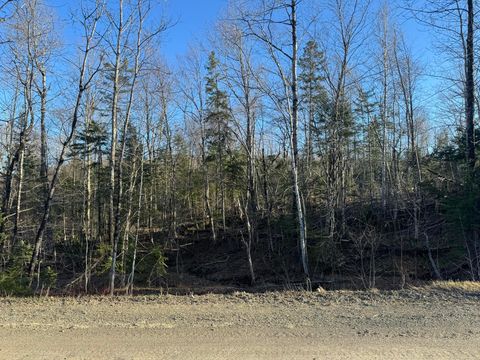 Photo of 0 Young Lake Road, Westfield, ME 04787 (MLS # 1651788)