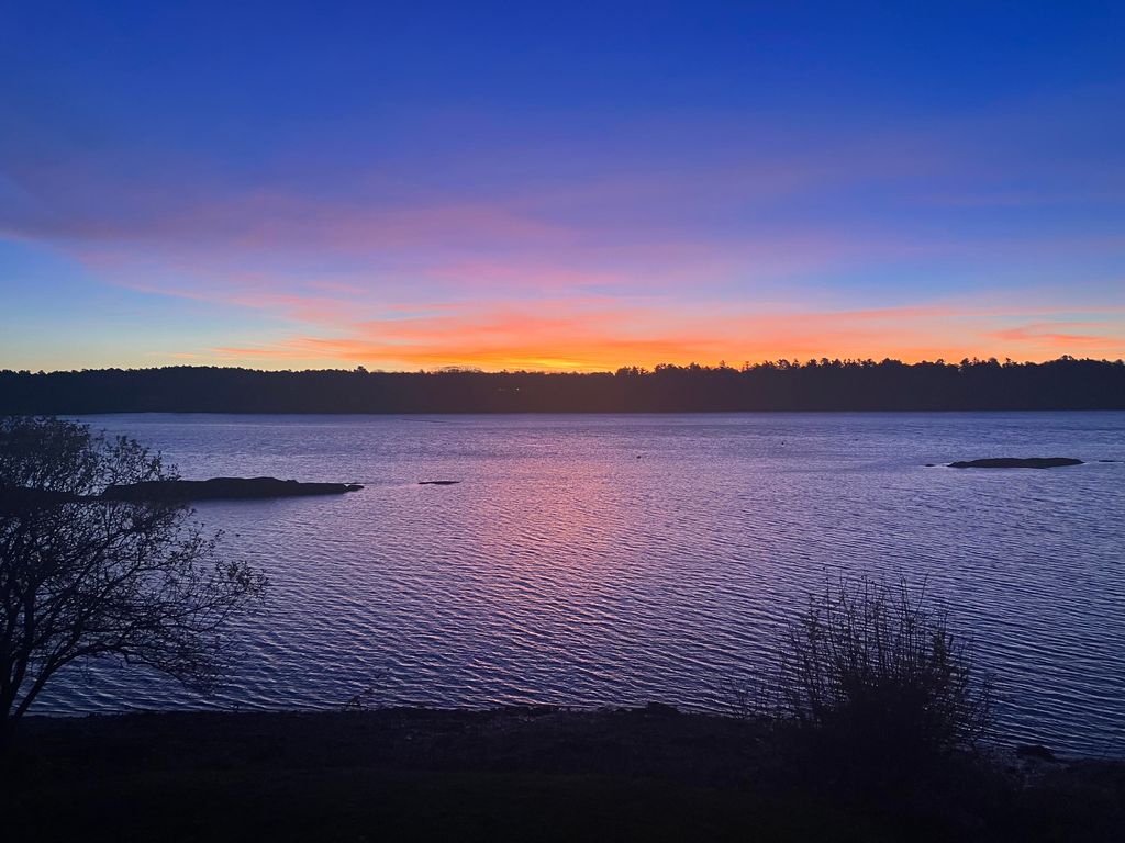 Photo of 4 Pearl Drive #4, Brunswick, ME 04011 (MLS # 1654265)