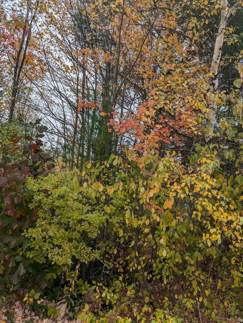 Photo of 19-04 Acorn Lane, Freedom, ME 04941 (MLS # 1641351)