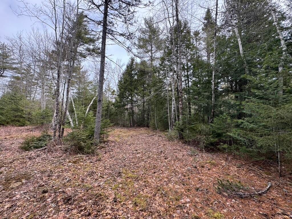 Photo of 15 Bufford Drive, Waltham, ME 04605 (MLS # 1657656)