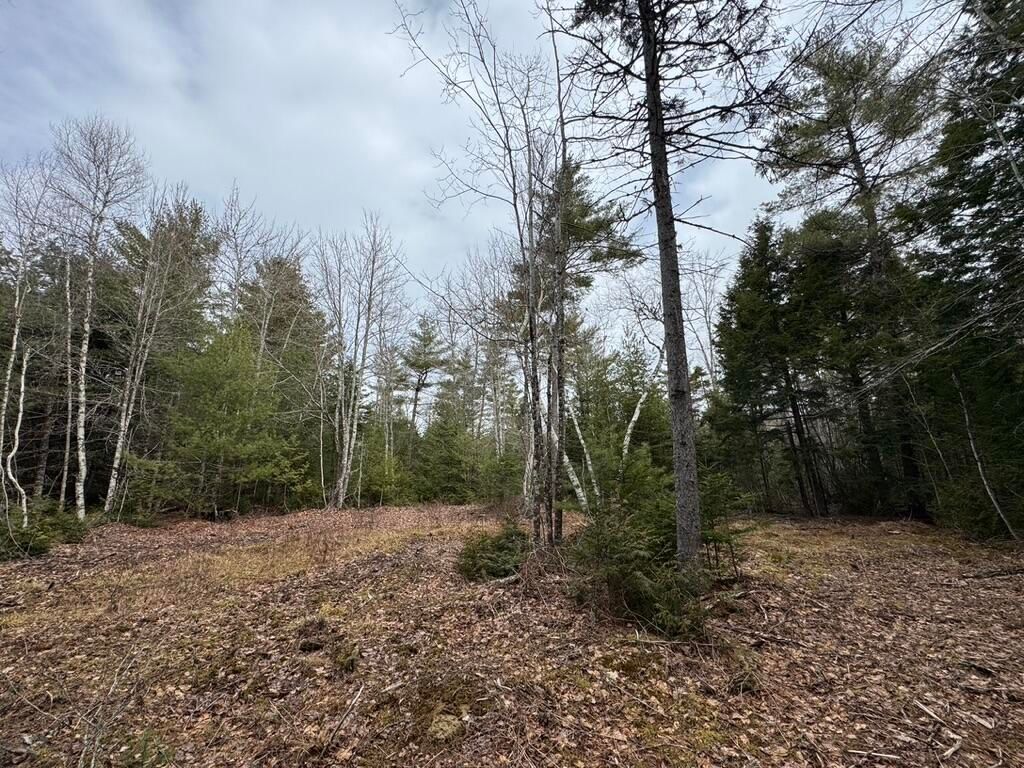 Photo of 15 Bufford Drive, Waltham, ME 04605 (MLS # 1657656)