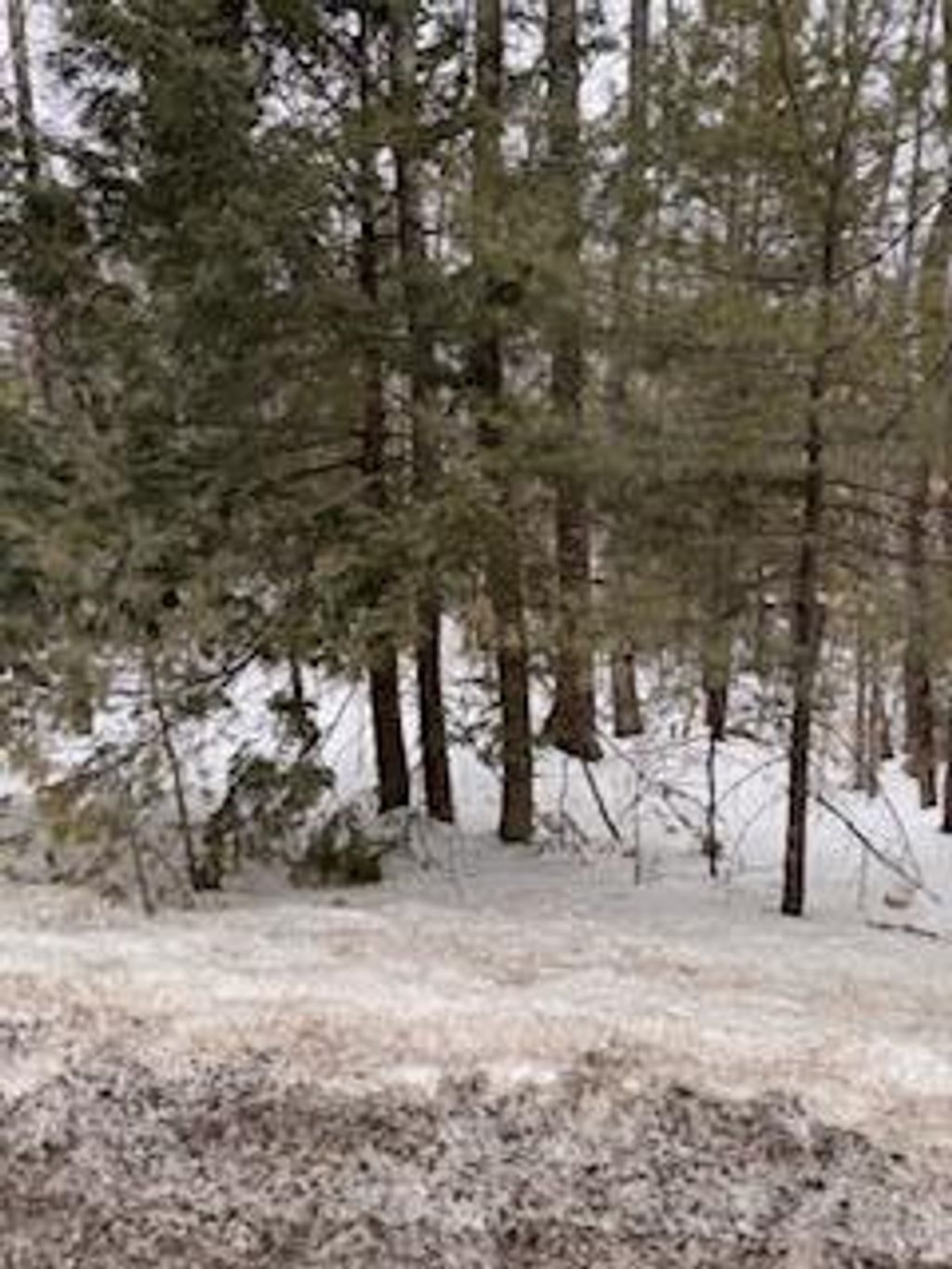Photo of Lot# 0 Roosevelt Trail, Naples, ME 04055 (MLS # 1654244)