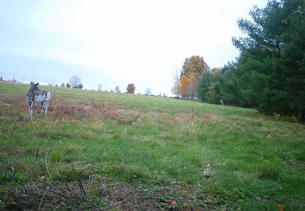 Photo of 16A Pooler Road, Pittsfield, ME 04967 (MLS # 1649743)