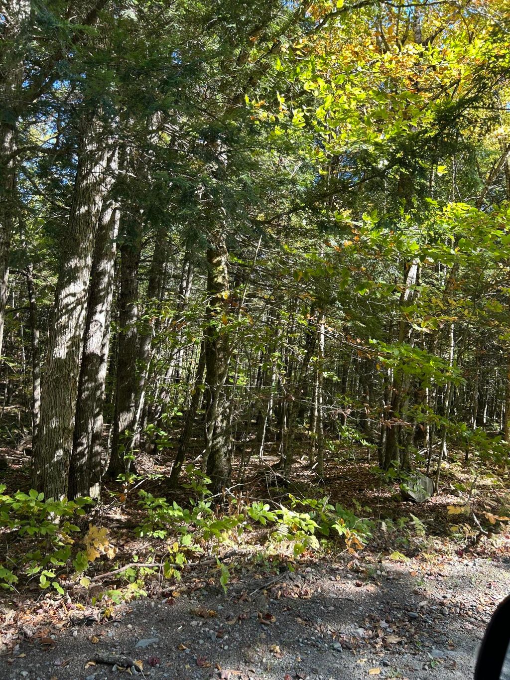 Photo of M6L16-12-3 Beaverbrook Road, Bowerbank, ME 04426 (MLS # 1639490)