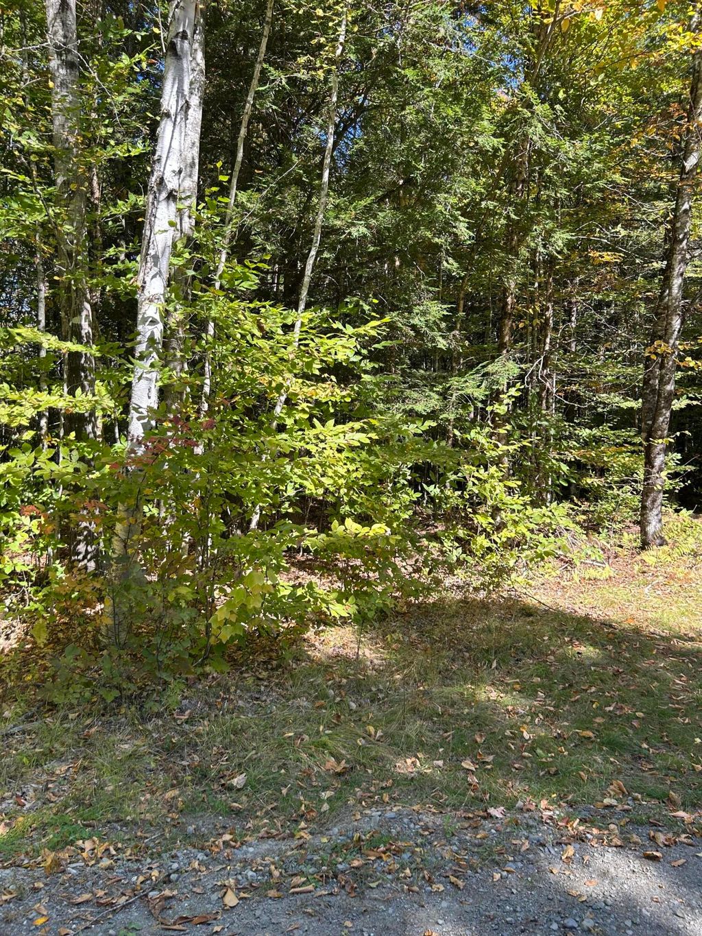 Photo of M6L16-12-3 Beaverbrook Road, Bowerbank, ME 04426 (MLS # 1639490)