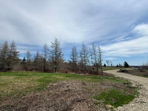 Photo of Lot 4 Holmes Bay Farms Road, Whiting, ME 04691 (MLS # 1662669)