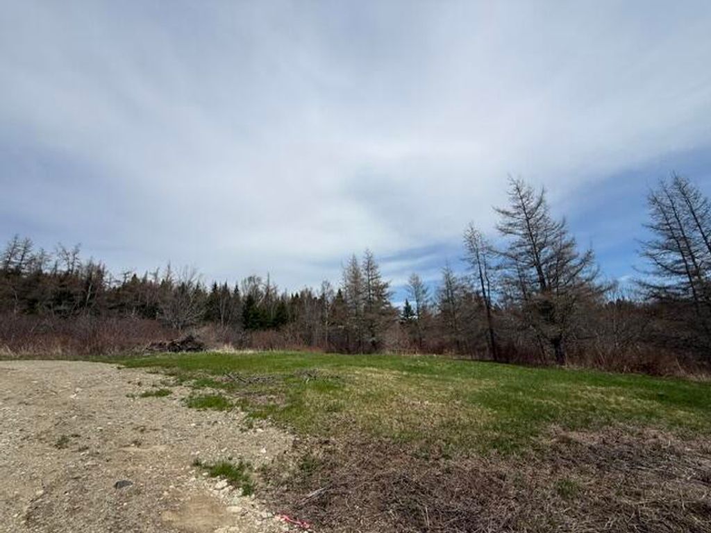 Photo of Lot 4 Holmes Bay Farms Road, Whiting, ME 04691 (MLS # 1662669)