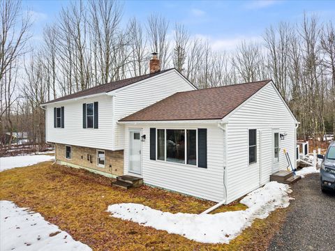 Photo of 1130 Silver Lake Road, Bucksport, ME 04416 (MLS # 1654230)