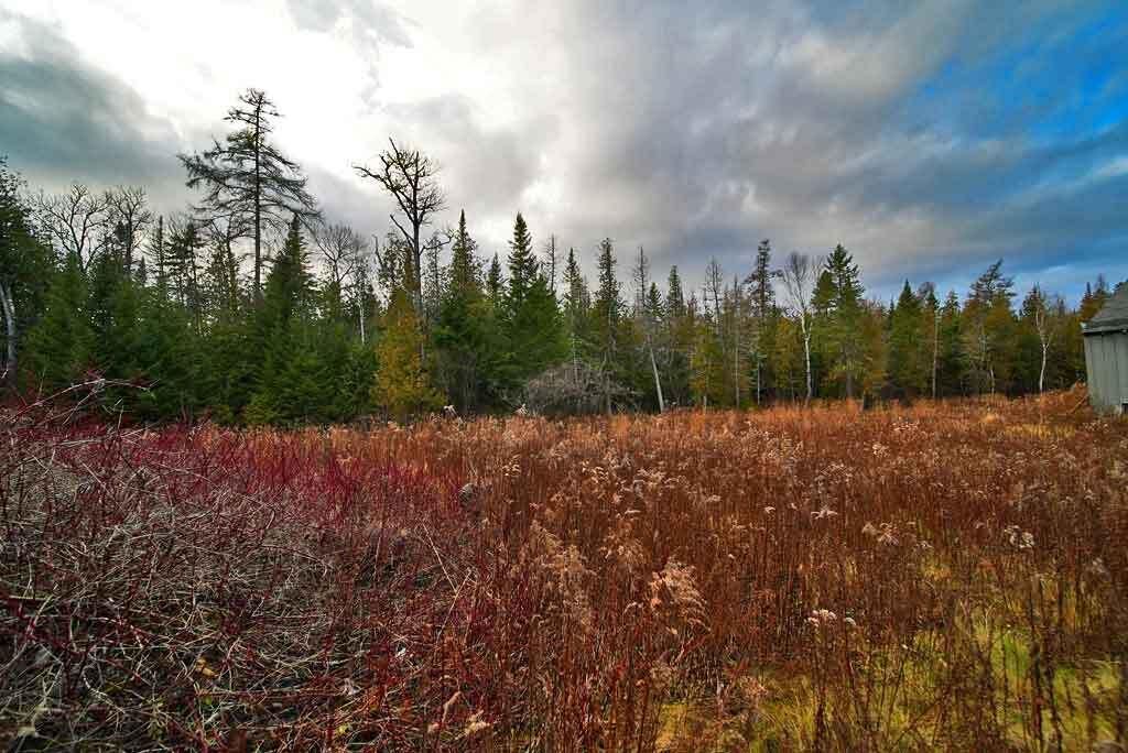 Photo of 228 U.S. Route 1, Bridgewater, ME 04735 (MLS # 1644380)