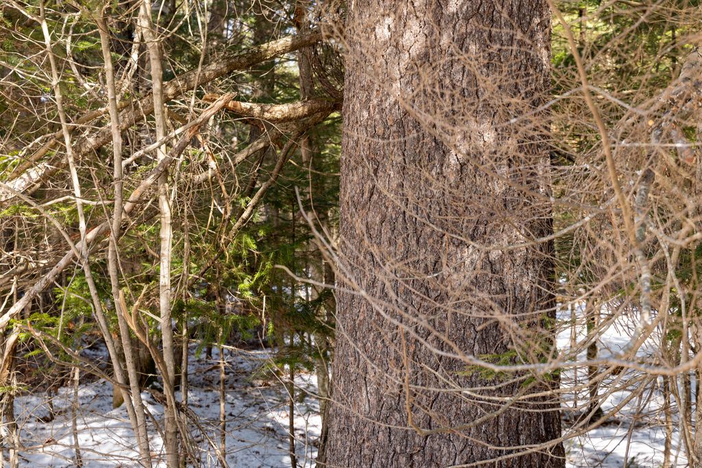 Photo of R7L14A Route 157 Route, Mattawamkeag, ME 04459 (MLS # 1654376)